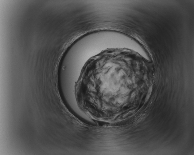 X0000052630673200507160131