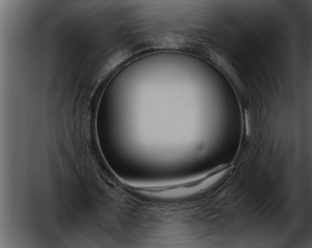 X0000052630675200507160131