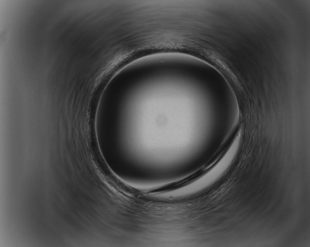 X0000052630677200507160131