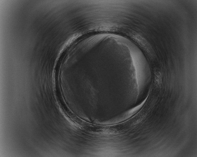 X0000052630678200507160131
