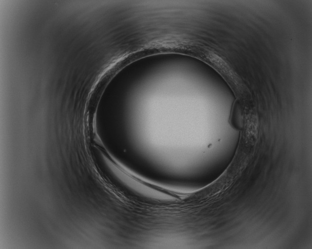X0000052630680200507160131