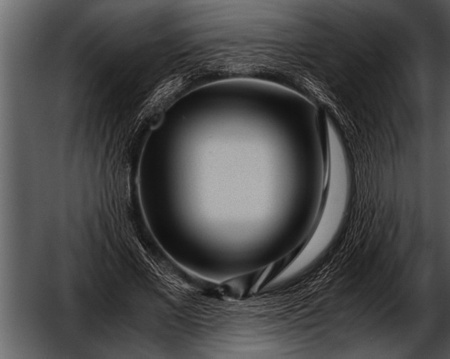 X0000052630685200507160131