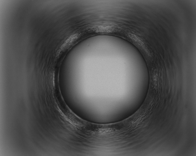 X0000052630686200507160131