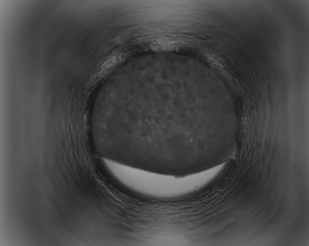 X0000052630687200507160131