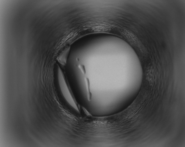 X0000052630690200507160131