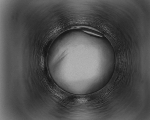 X0000052630692200507160131
