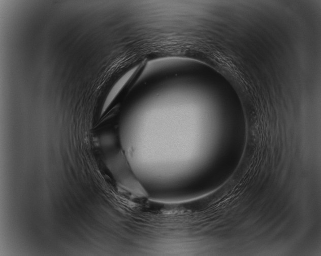 X0000052630693200507160131