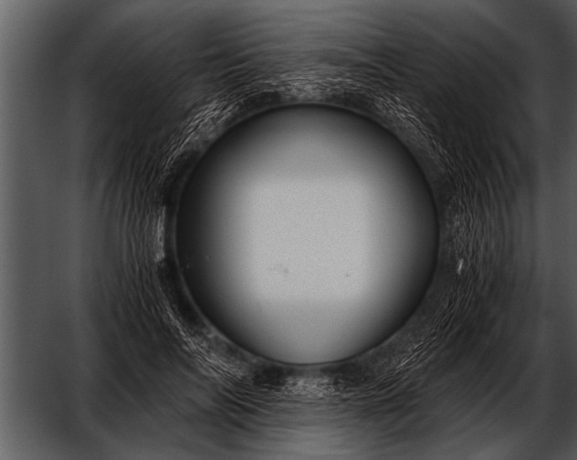 X0000052630694200507160131