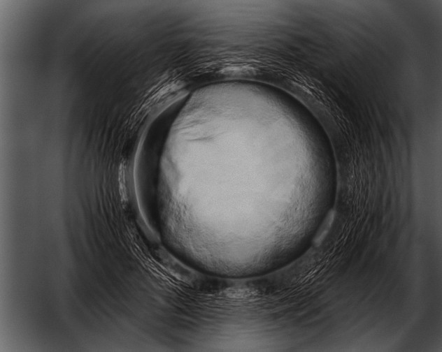 X0000052630696200507160131