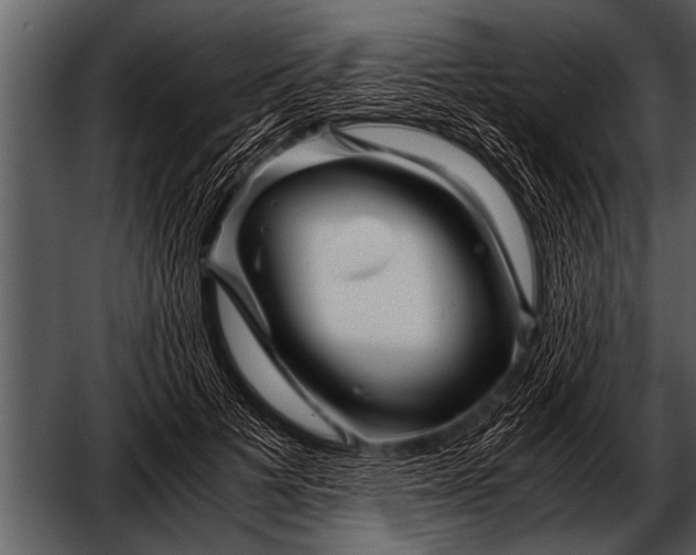 X0000052630697200507160131