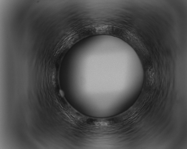 X0000052630698200507160131
