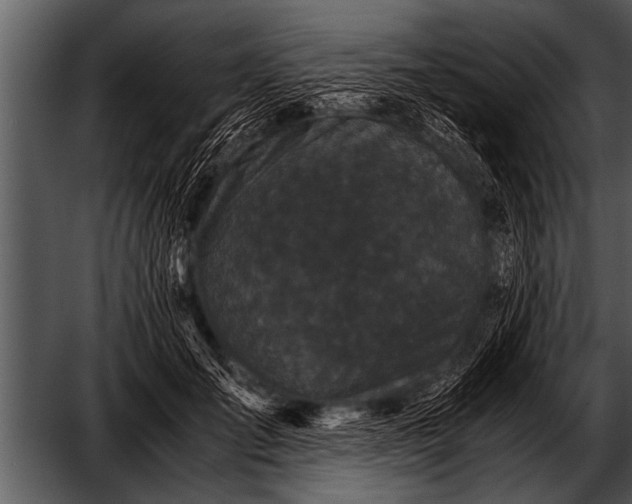 X0000052630701200507160131