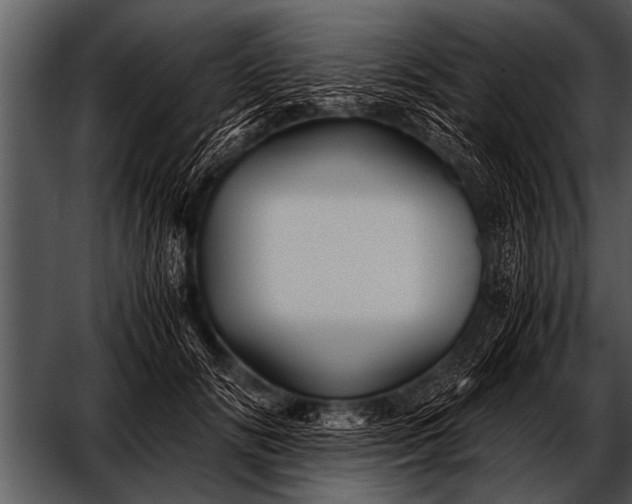X0000052630702200507160131
