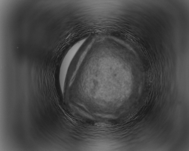 X0000052630703200507160131