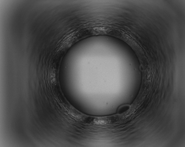 X0000052630706200507160131