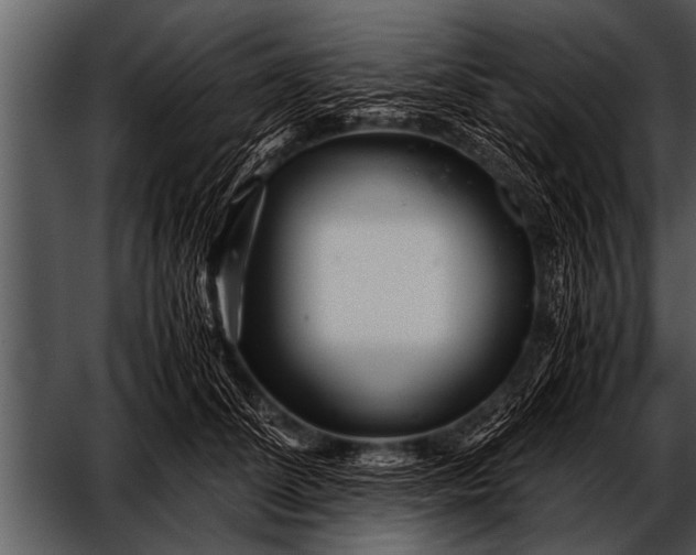 X0000052630708200507160131