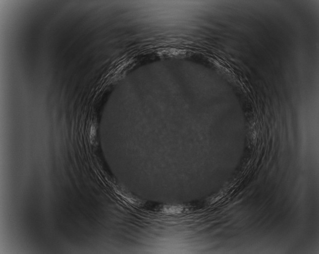 X0000052630709200507160131