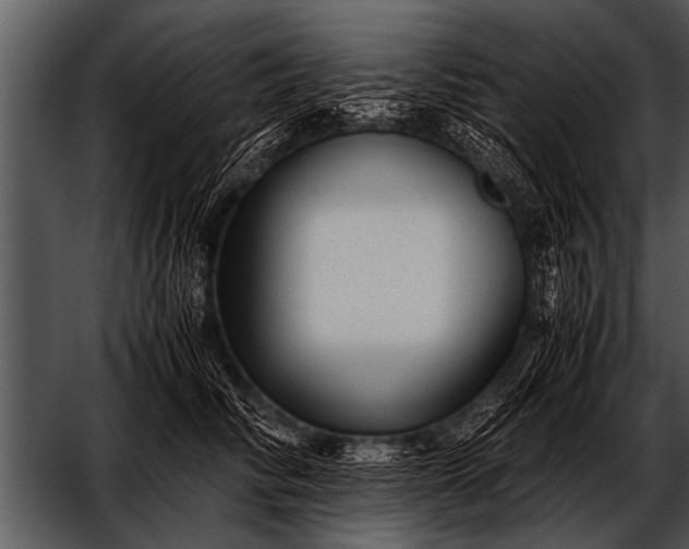X0000052630710200507160131