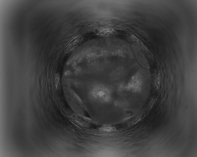 X0000052630711200507160131