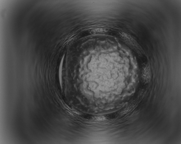 X0000052630715200507160130