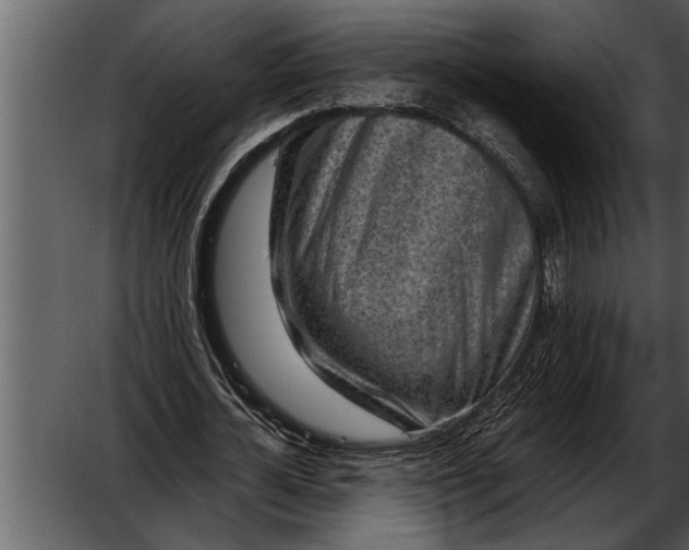 X0000052630724200507160130