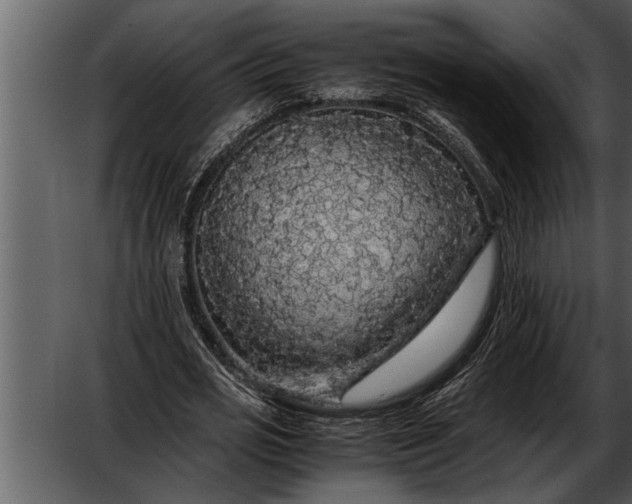X0000052630725200507160130
