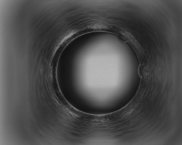 X0000052630727200507160130