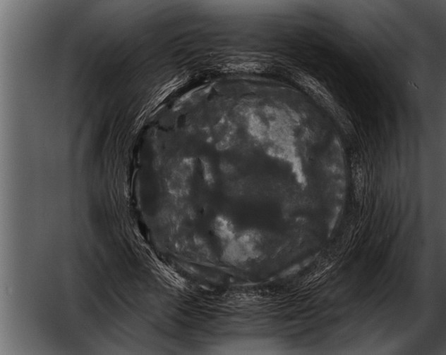 X0000052630729200507160130