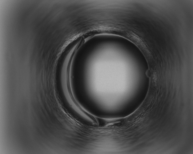 X0000052630732200507160130