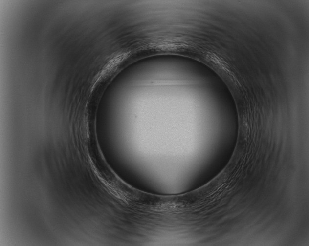 X0000052630734200507160130