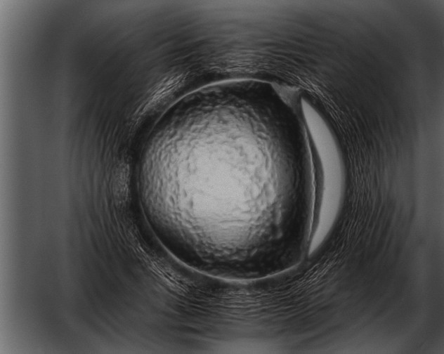 X0000052630735200507160130