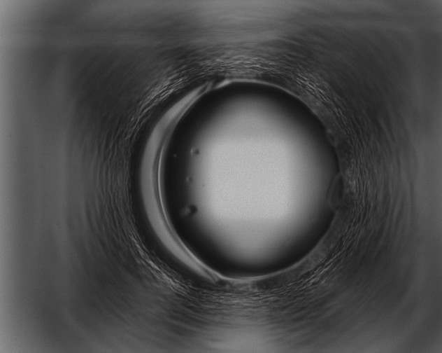 X0000052630744200507160130