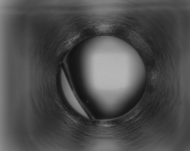 X0000052630746200507160130