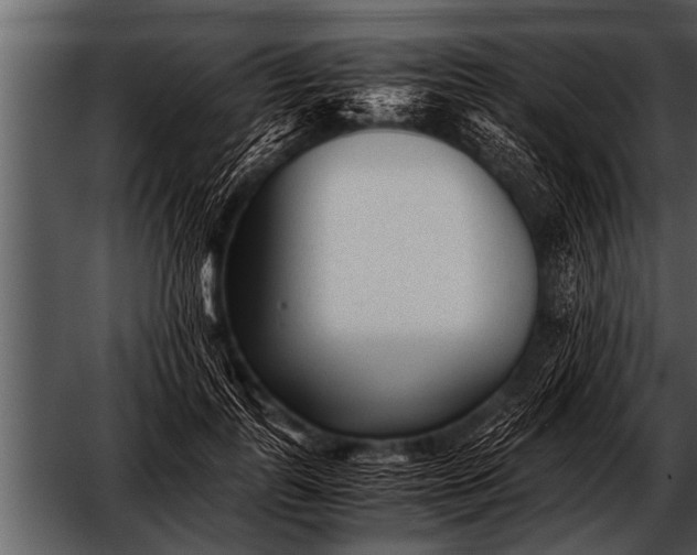 X0000052630747200507160130