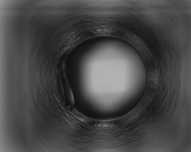 X0000052630751200507160130