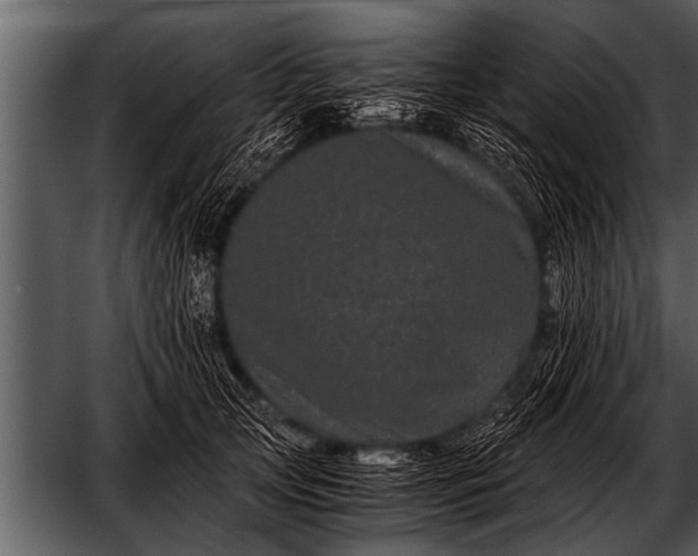 X0000052630753200507160130