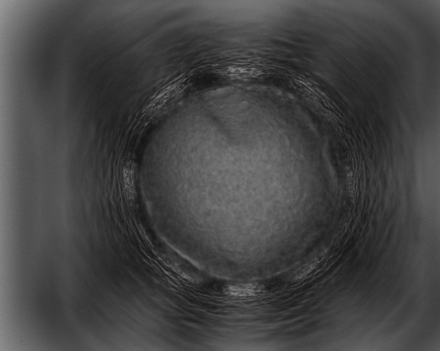 X0000052630757200507160130