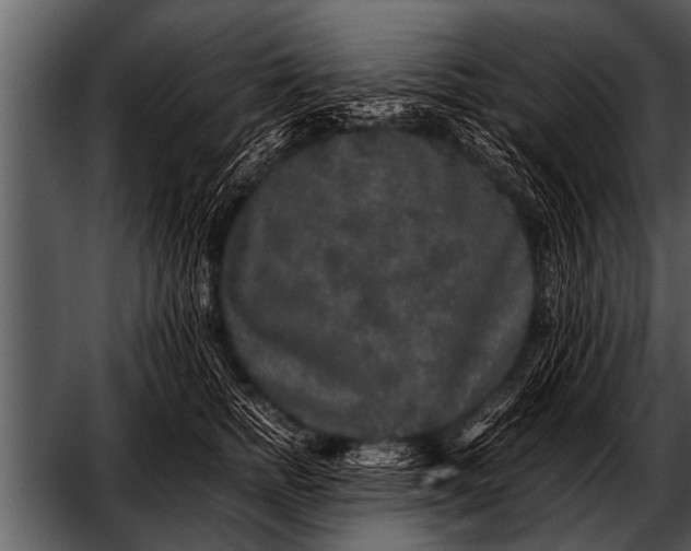 X0000052630758200507160130