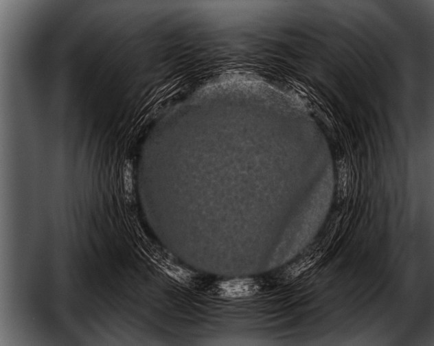 X0000052630761200507160130