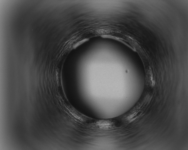 X0000052630762200507160130