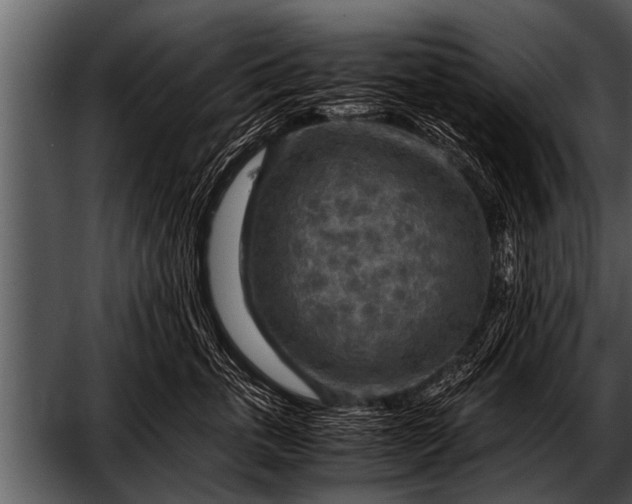X0000052630763200507160130