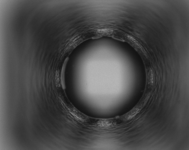 X0000052630764200507160130