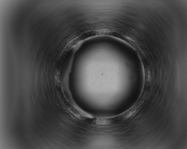 X0000052630766200507160130