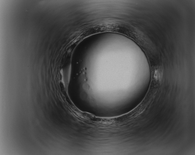 X0000052630771200507160130