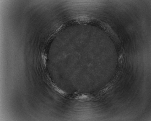 X0000052630772200507160130