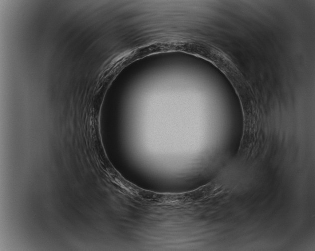 X0000052630773200507160130