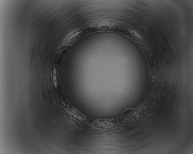 X0000052630774200507160129