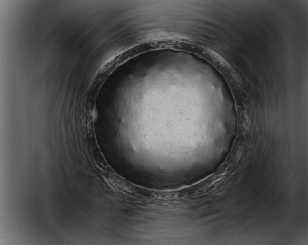 X0000052630775200507160129