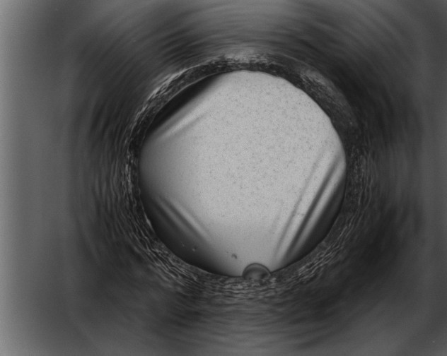 X0000052630776200507160129