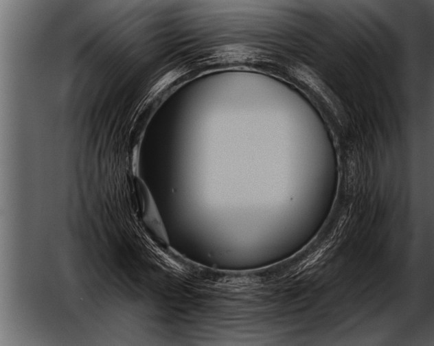 X0000052630778200507160129